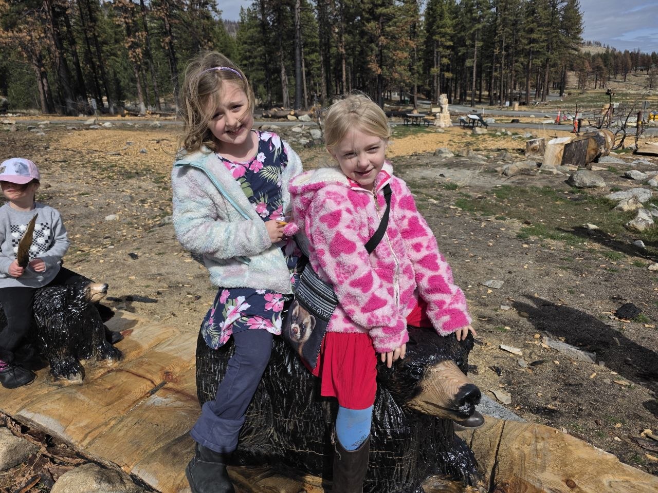 Bears, Bugs & New Friends: Our Davis Creek Adventure