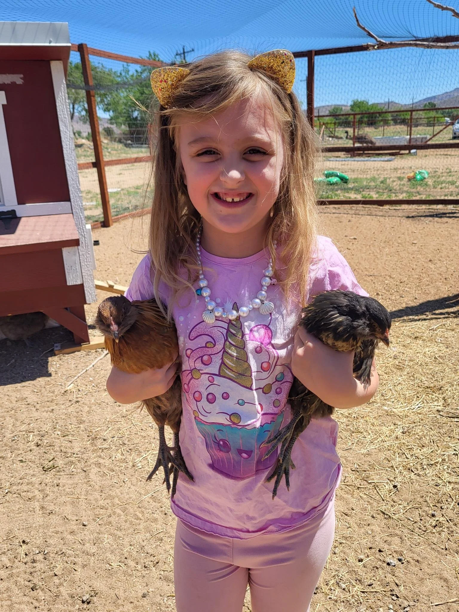 Starnook Life: Chicken Keeping as a Homeschool & Homestead Adventure