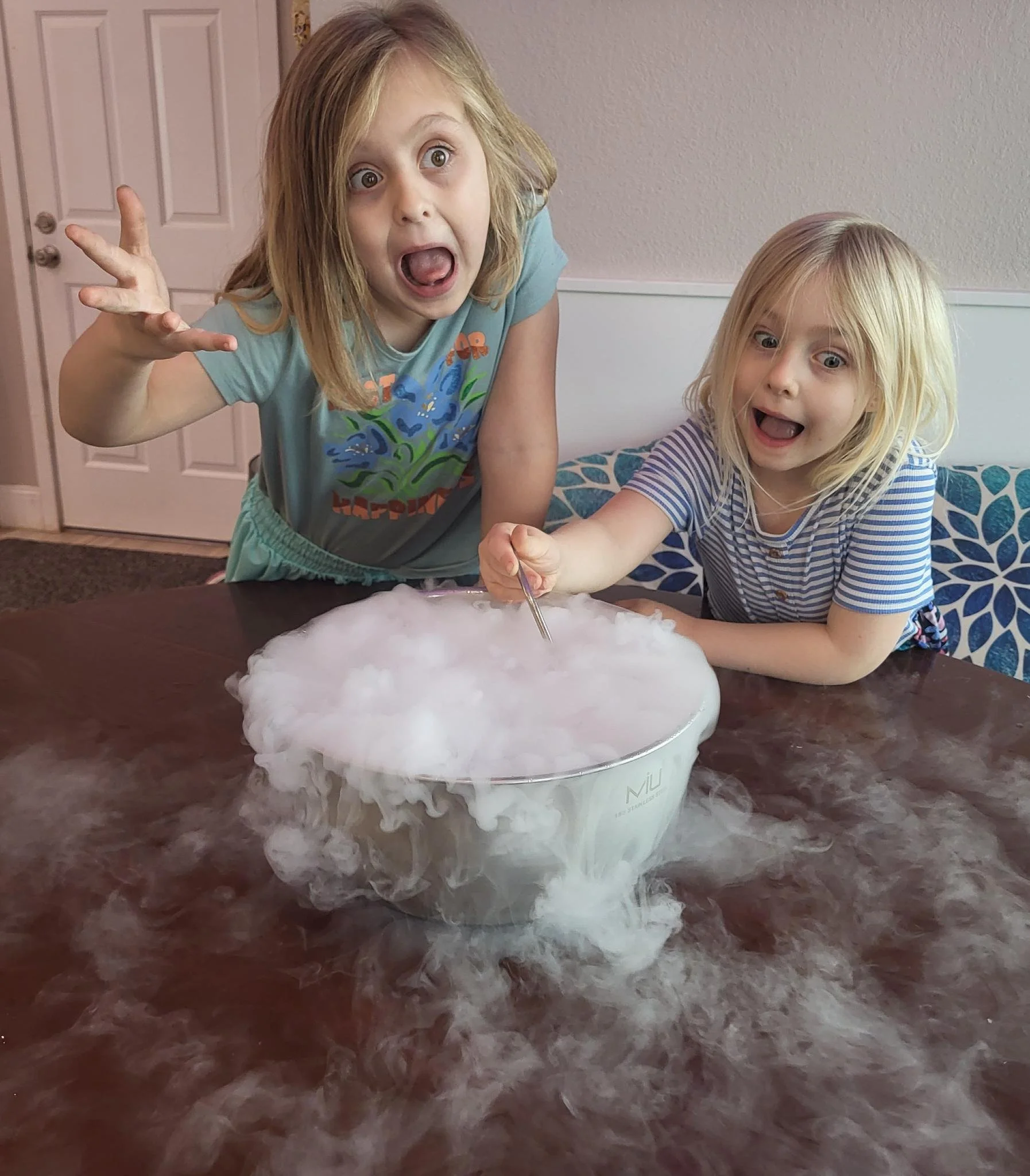 Starnook Science: Exploring the States of Matter with Dry Ice!