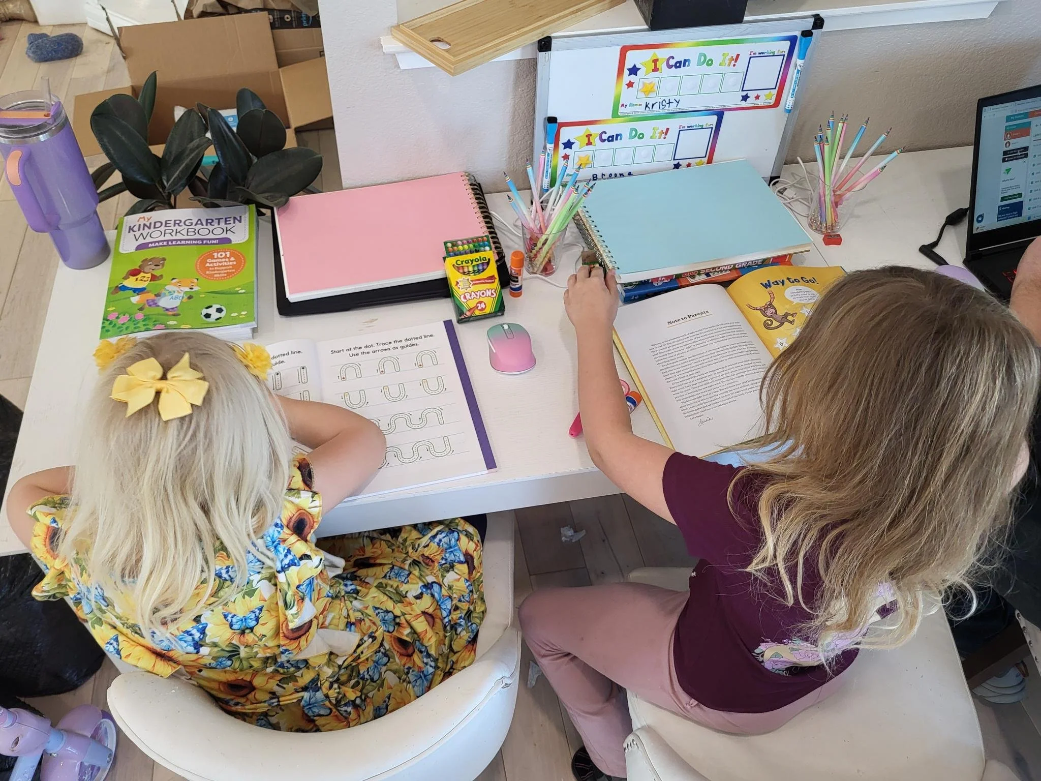 Starnook Beginnings: Creating Our Homeschool Space & Embracing Learning Everywhere
